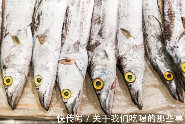 都是带鱼,为啥有的一斤10元,有的300元?老渔民告诉你差在哪儿