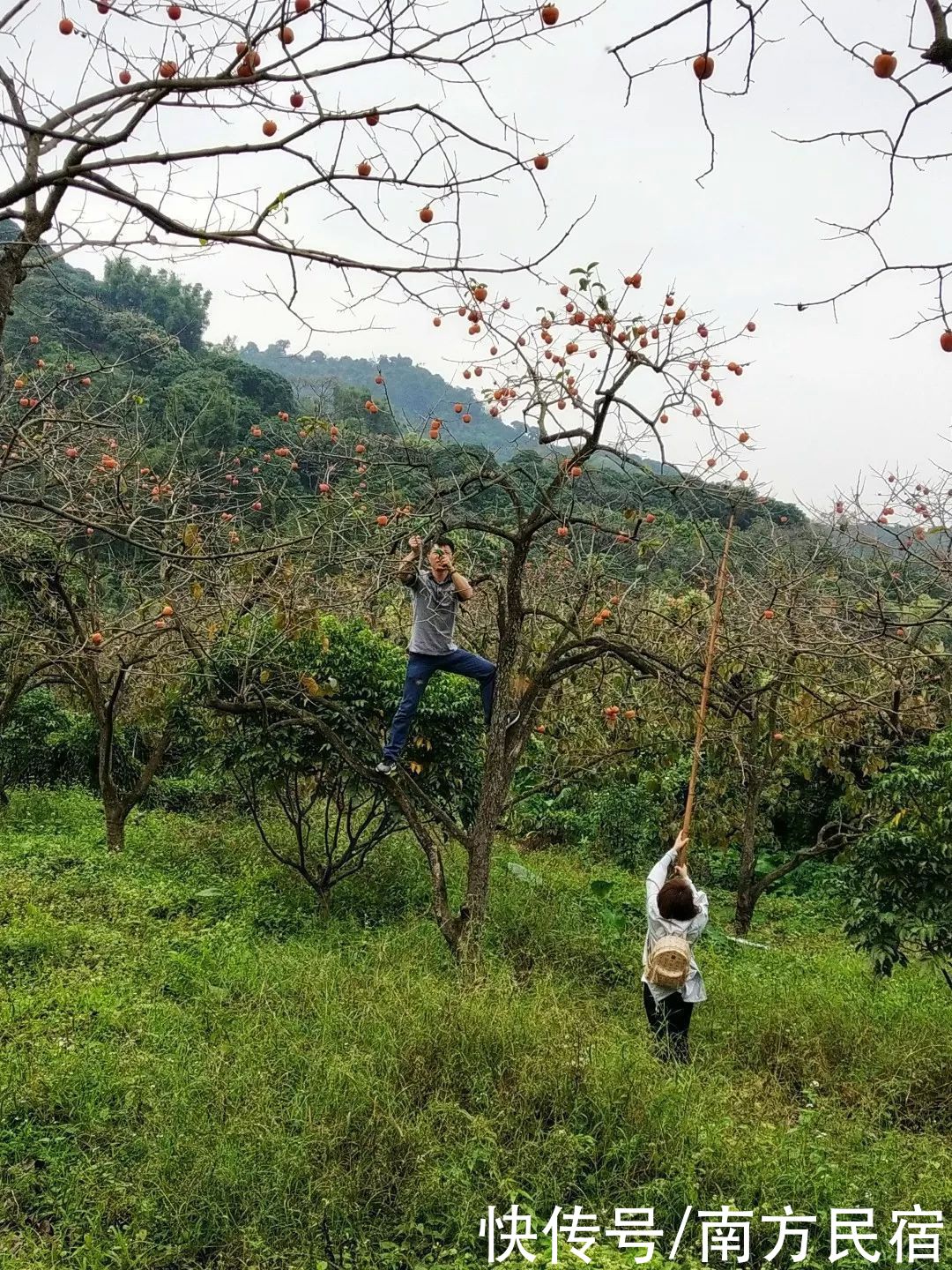 暖心|他用2年时间一桌一椅做出广州从化最暖心民宿，好美好玩丨菁木山