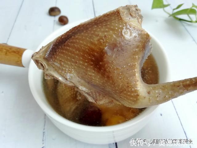 板栗|炖鸽子汤不需要太多调料,只放2种食材就够了,体质不好要多喝