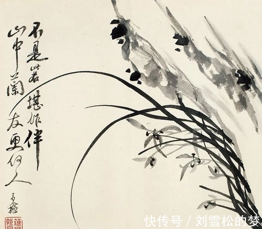 姿态|清代蒋予检笔下的兰花:纵横偃仰,别有姿态