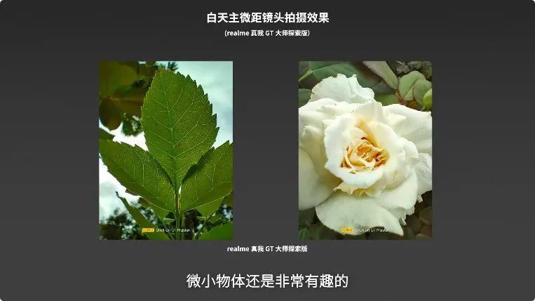 cd机|realme GT 大师版评测：影像与质感的双重越级？