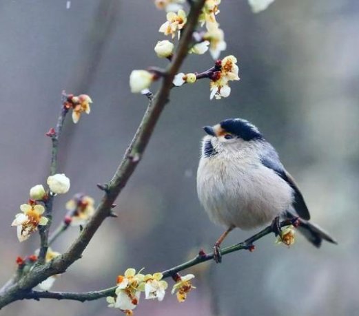 孩子拒绝上交压岁钱,家长可以这么做