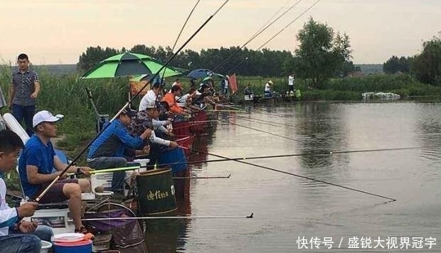 黑坑|臭底黑坑怎么钓？一场黑坑被老板盘得明明白白，可惜发现得晚了点