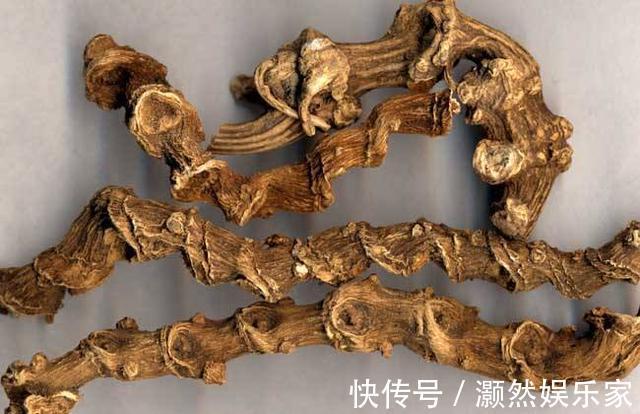 头冠|农村这种野草,果实长得像“鸡冠”,根200一斤,遇到请保护它