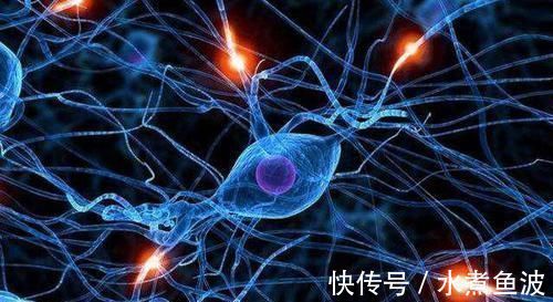 痴呆|最新老年痴呆测试题花朵中有一张女人的脸,你能在10秒内找到吗