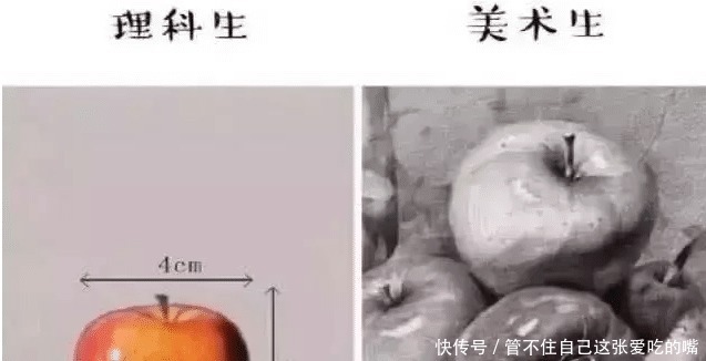 理科生VS美术生, 看了照片理科生低下头, 网友 别低头皇冠会掉！