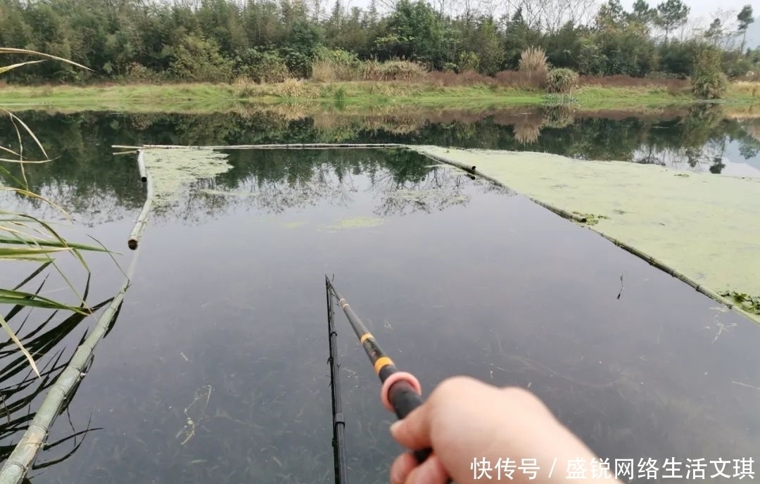 钓位|谁说钓鱼找底不重要？它的作用可不仅是为了调漂，绝不可省略