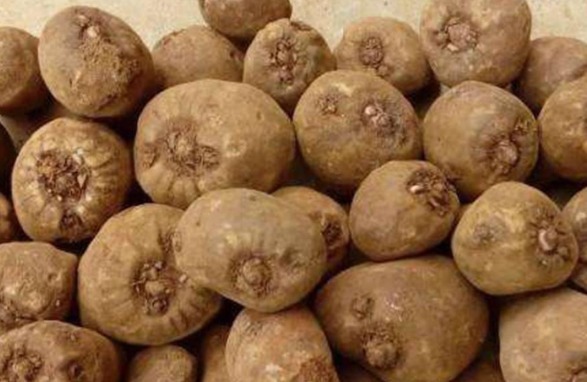 低密度蛋白|吃红薯能降血糖吗,答案让人大吃一惊,多吃以下两种食物能够降血糖