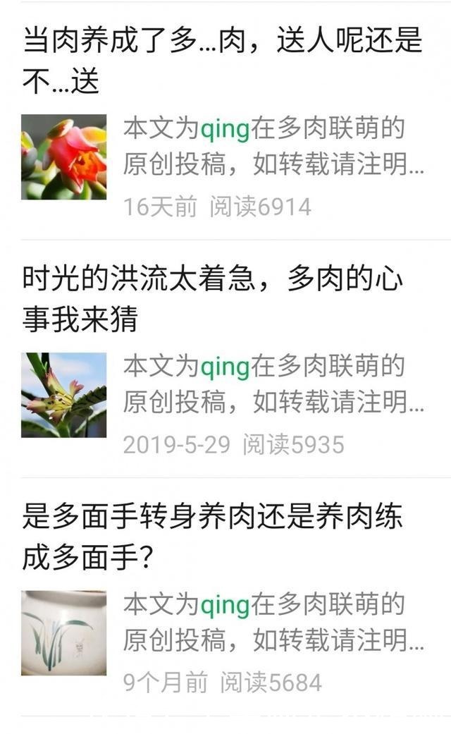 爱之蔓|你红尖尖,我红边边