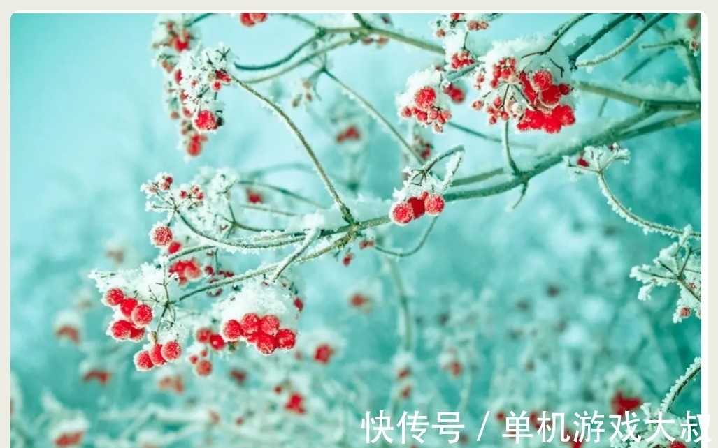 胭脂铅粉#明冬素润,千山暮雪,护月云轻,嫩冰犹薄