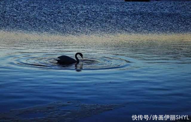 春暖芳草湖|彩色伊宁| 中年