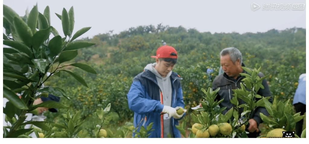 《五哈2》為何一上線(xiàn)就備受好評(píng)？這就是王征宇的“厲害之處”