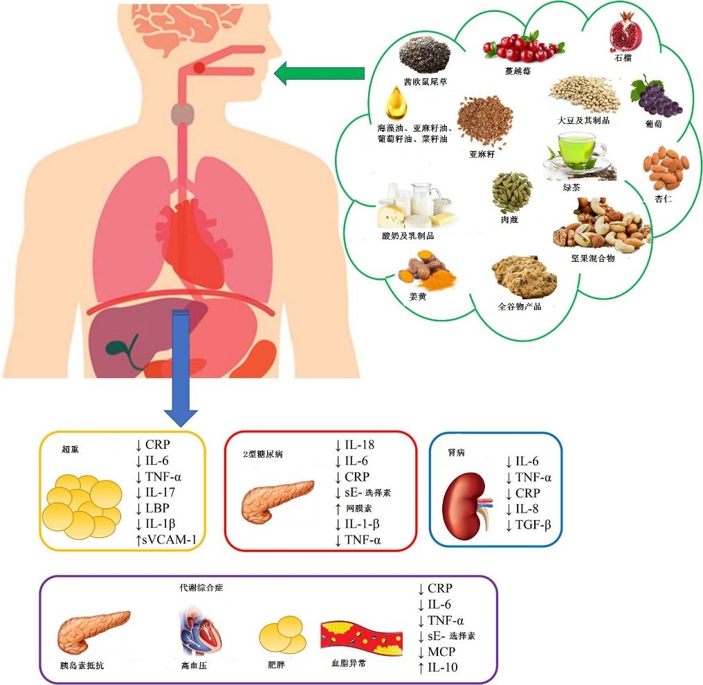 炎症|＂抗炎饮食＂走红！抗炎食物和促炎食物都有啥？