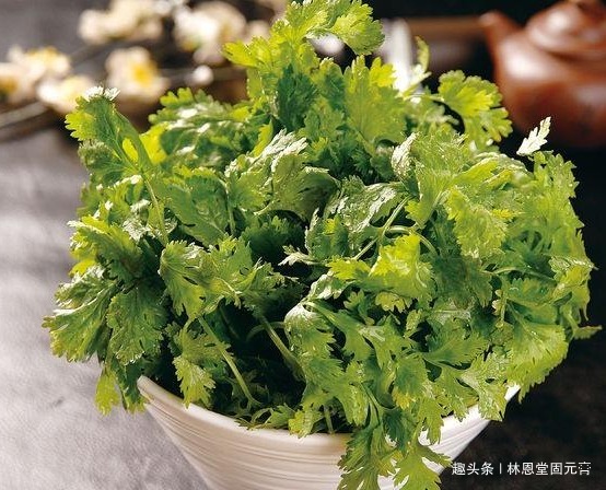 预防感冒|天然的“排毒菜”找到了,坚持煮水喝,排出体内毒素,预防感冒