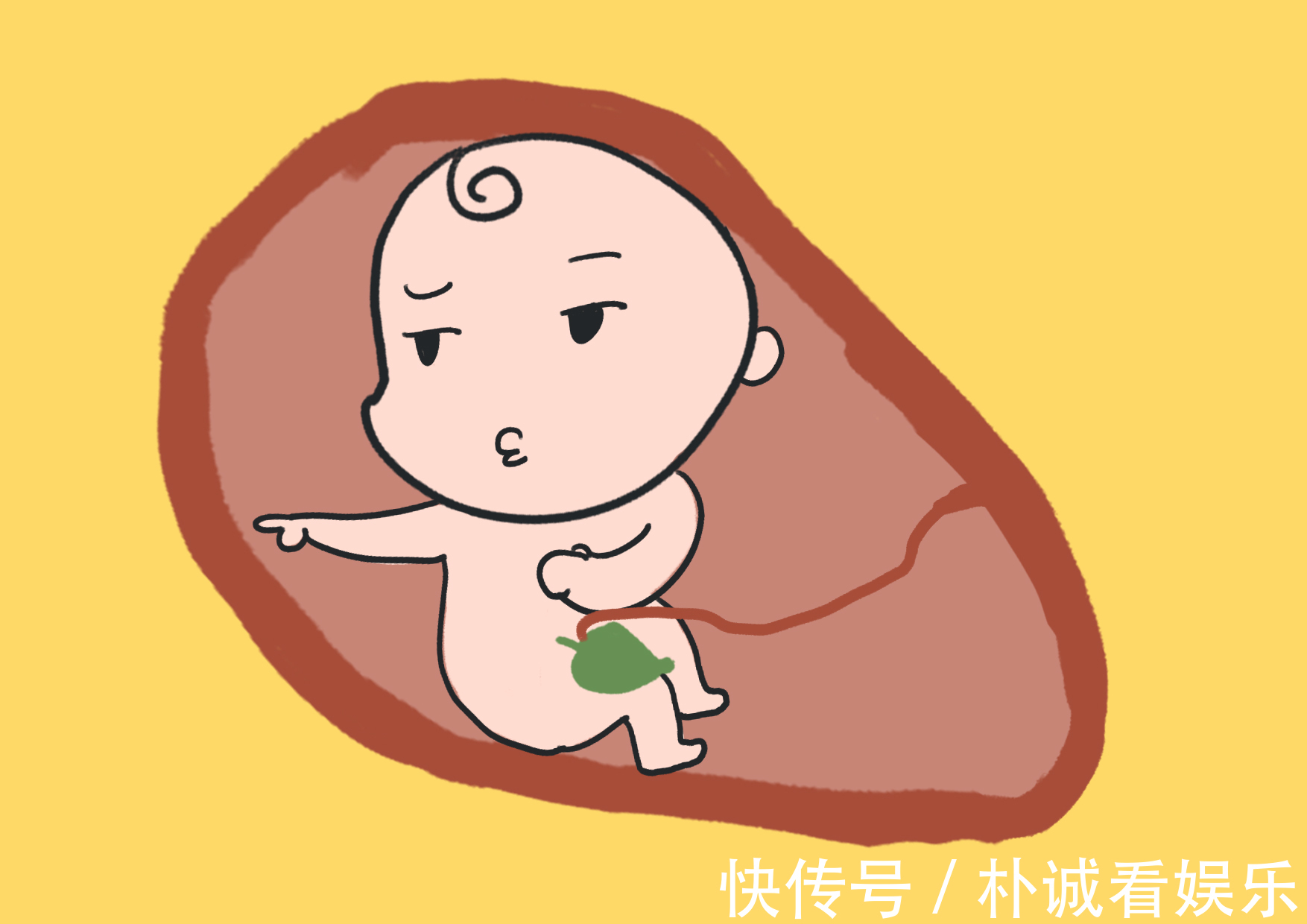 剖腹产|脐带绕颈的发生率为20孕妈先别慌,处置妥当胎儿会自行脱困!