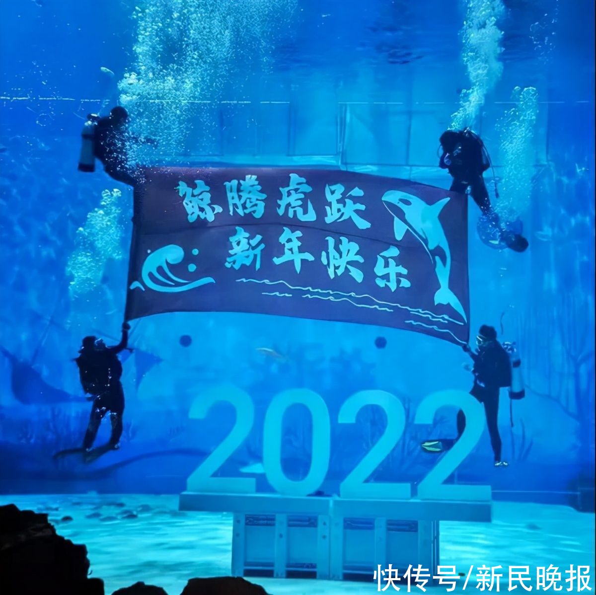 水下|水下也有“虎虎生威”！这个2022年的打开方式很特别