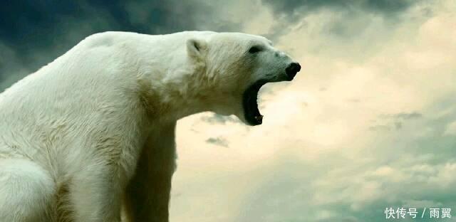 寸土不让|慈禧警告俄罗斯 可以不要东北, 但唯独对这一地区寸土不让!