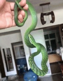 |搞笑GIF:见过荡秋千的,没见过骑摩托车荡秋千的