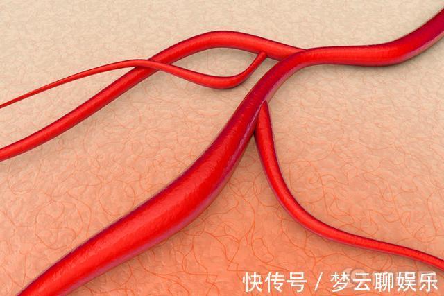 答案|每天早上吃鸡蛋,会增加心血管死亡率北大40万人研究给出答案