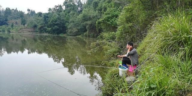 弄明白这几句话，野钓找鱼窝，简直易如反掌