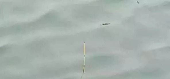 一直钓不到大鱼是有原因的，因为你不会用铅皮，赶紧学下正确用法