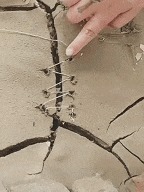 |搞笑GIF:今天视察老婆工作,我只能薅你的头发了