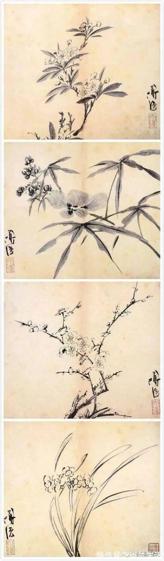 陈淳@与徐渭齐名,这个富二代的一花一世界!