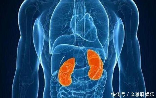 腰酸腰痛|男人的私藏方，睡前1杯就够了，连用一周后，肾脏显年轻