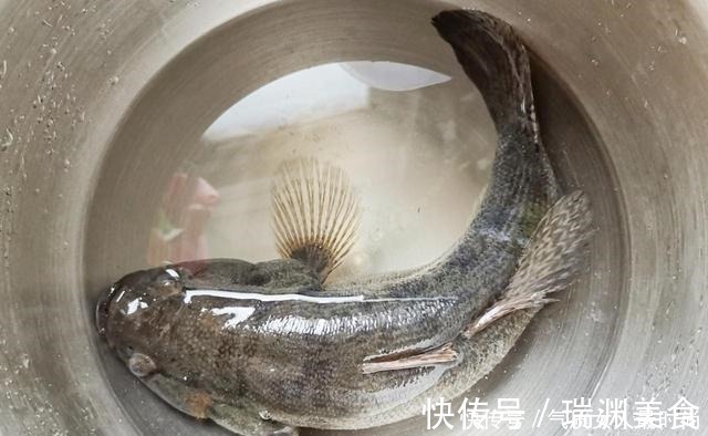 这种“入侵”鱼很成功,和沙塘鳢很像,现在又被吃成“高价美食”