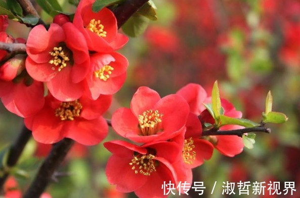 老婆|谁家老婆生日在农历这5天,三生有幸,你把财神带回家了!