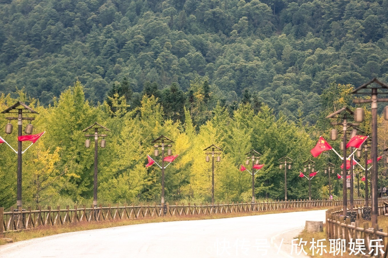 满村|一到秋天就美成童话的银杏村，拥有3万棵银杏，是最美秋色的代表