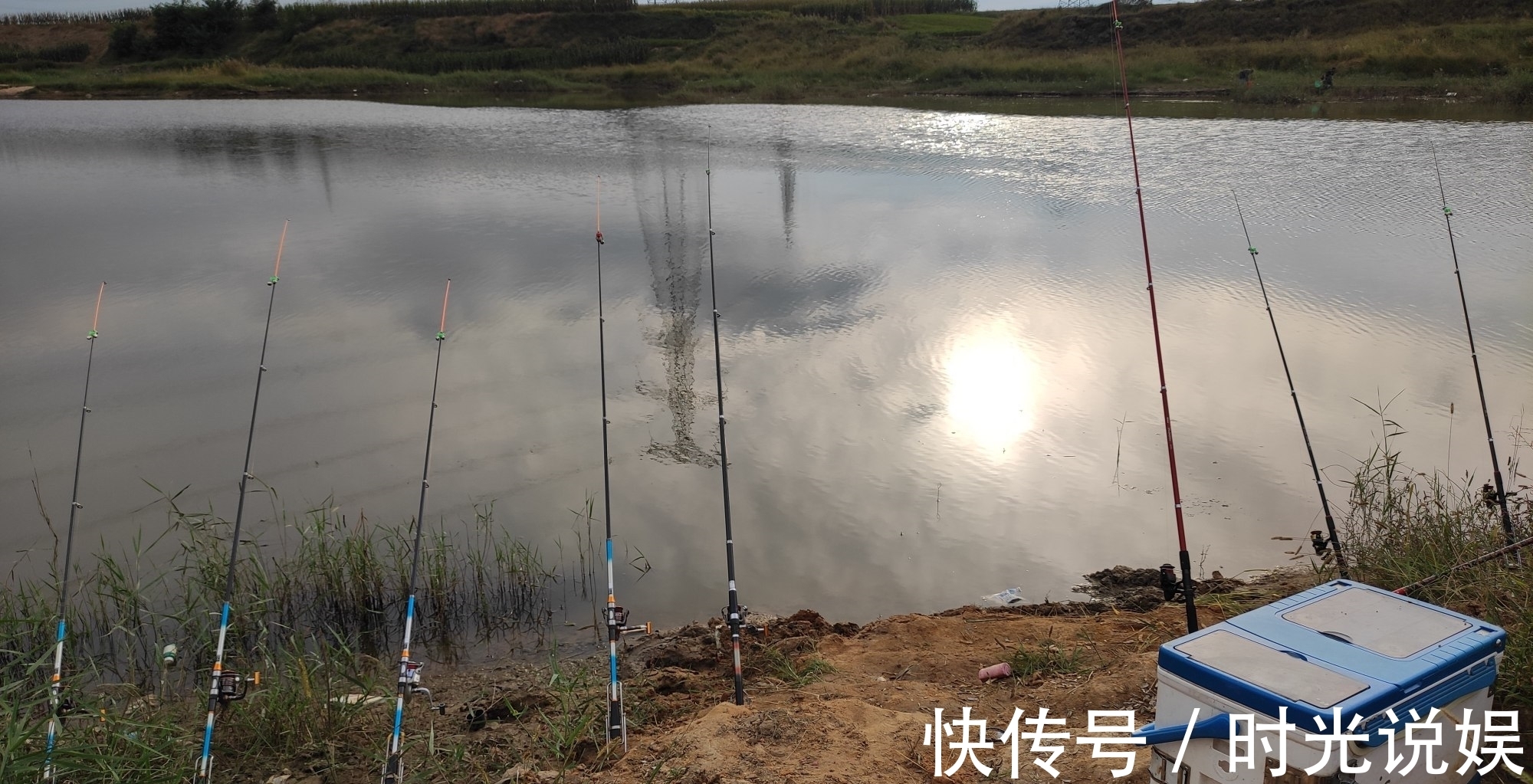 手竿|钓鲤鱼我就服这种鱼钩“从不跑鱼”伊势尼千又等钩都要靠边站