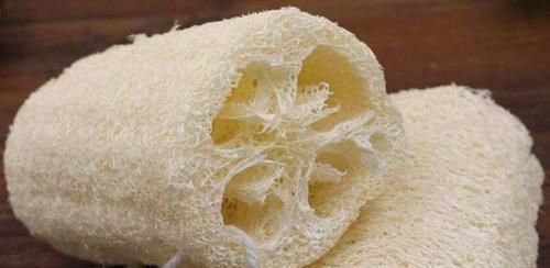  不烂|捡点垃圾放花盆，花儿舒舒服服，十年不烂根，花开枝繁叶茂