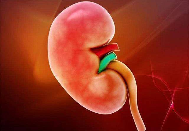 人到中年|人到中年肾不好5种“活力水”每天喝一杯，肾越来越好