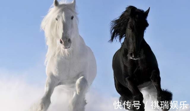 属相|生孩子要看属相4个属相的孩子有优势,孩子比同龄人更聪明