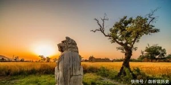 甲天下|盛世的冰山一角,桥陵石雕甲天下