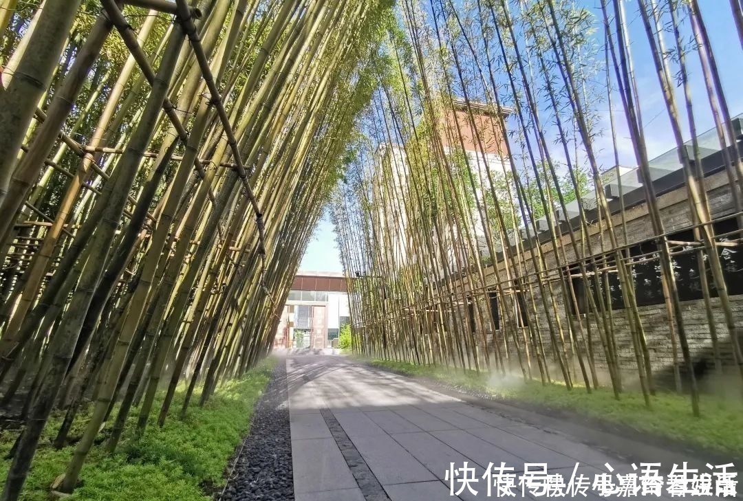 证书|房产证的重要性，你必须知道！丨买房涨知识