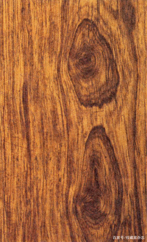 波痕|致密凝重、璞玉浑金——黄花梨无愧于最珍贵之木材