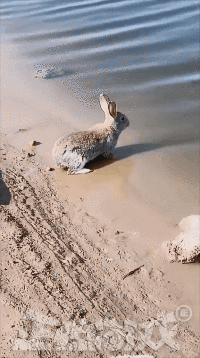 |搞笑GIF:姑娘 不行就别硬撑了 我看着都觉得尴尬