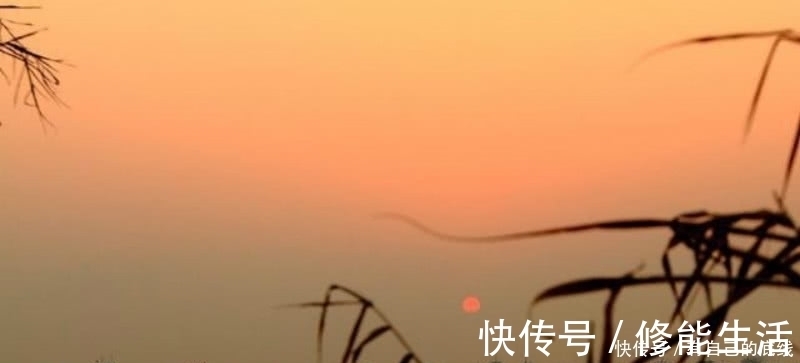 诗人$李白这首诗意境优美,被称为平生第一快诗,通篇描写得极为欢快!