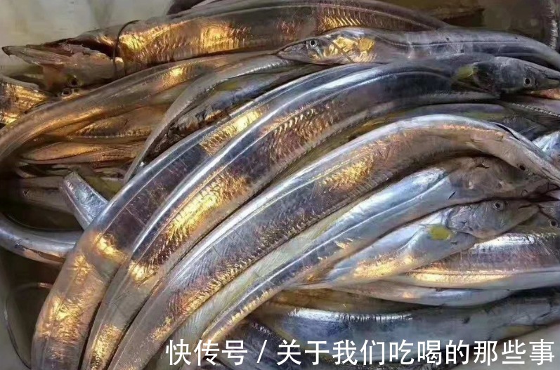 都是带鱼,为啥有的一斤10元,有的300元?老渔民告诉你差在哪儿