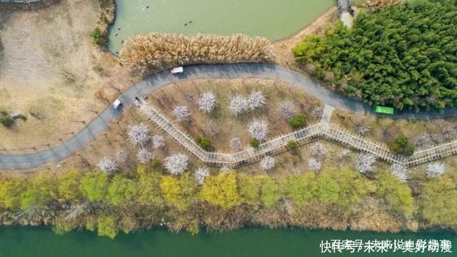 双龙湖湿地赏花、踏春