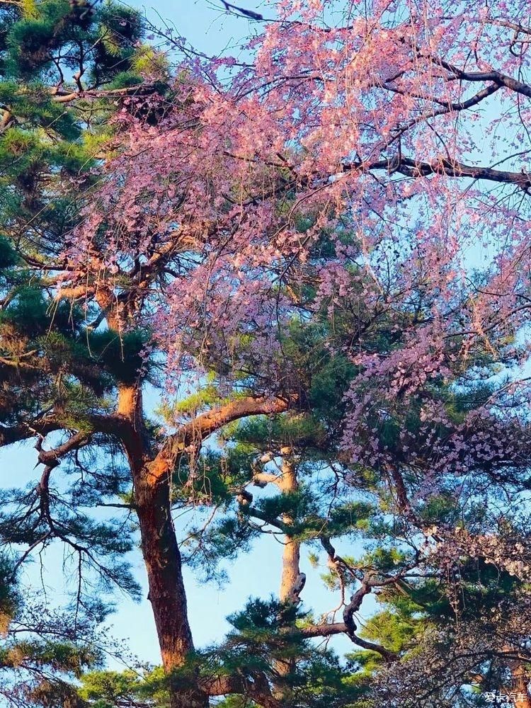 随处是风景