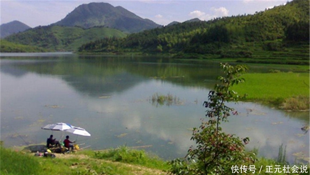 雨天|夏季钓鱼钓早晚,晴天雨天不一样,看准时机再出门,大鱼连竿上!