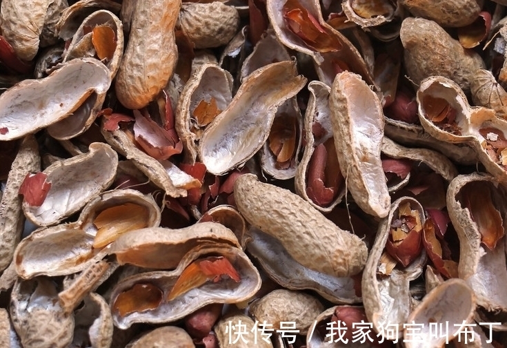 鸡蛋壳|要想盆栽花卉长的旺,万能土不能少