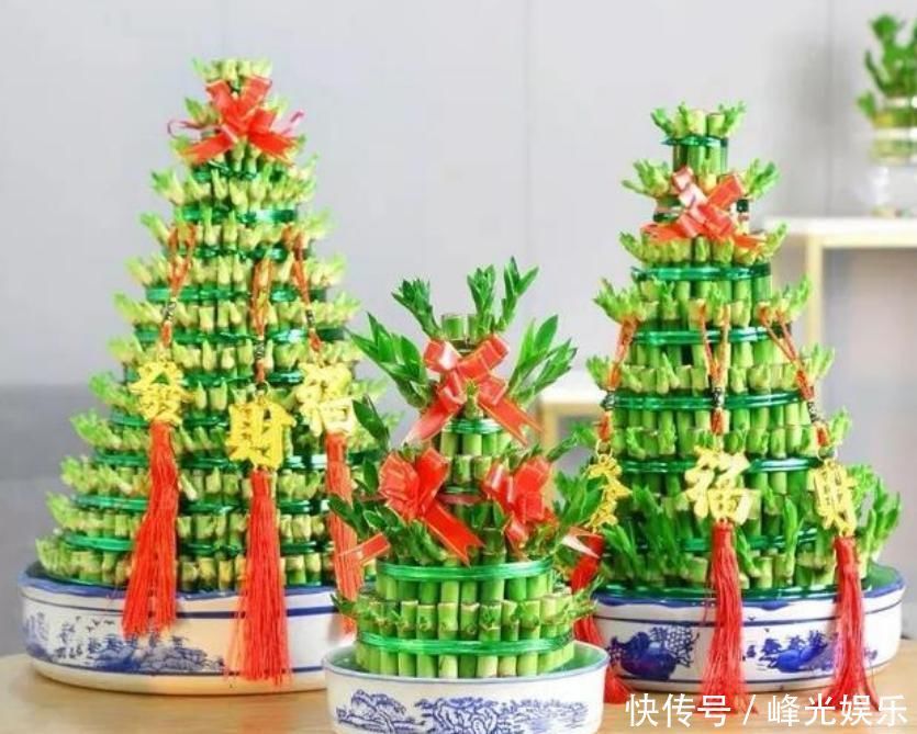 3种花自带“财运”,养家里一盆,财源广进,好运滚滚来