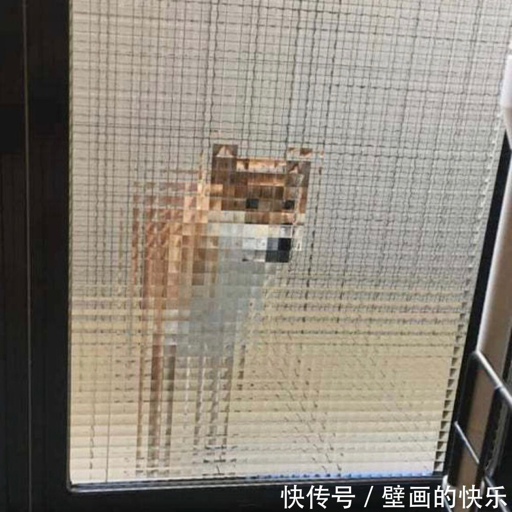 情侣头像|沙雕情侣头像:陪你可可爱爱的人一定可爱你