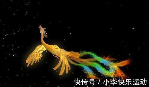 飞鱼!《山海经》记载内容,是异世界的秘密?专家称:极有可能真的存在