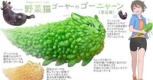 憨憨鸭|各种蔬菜的动物化,生姜变成了憨憨鸭,菜狗表情包的来源找到了