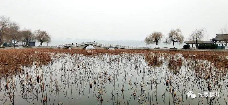 大牌坊|济南故事｜跟我从芙蓉街到大明湖，一起感受济南古城风韵吧